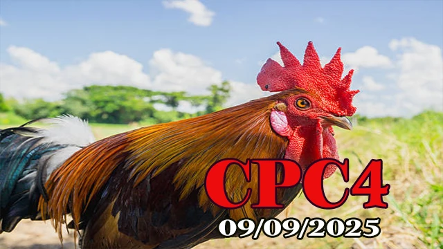 Video xem lại đá gà Thomo C4 hôm nay 09/09/2025